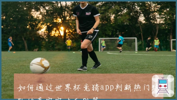 如何通过世界杯竞猜app判断热门球队的真实实力和胜算