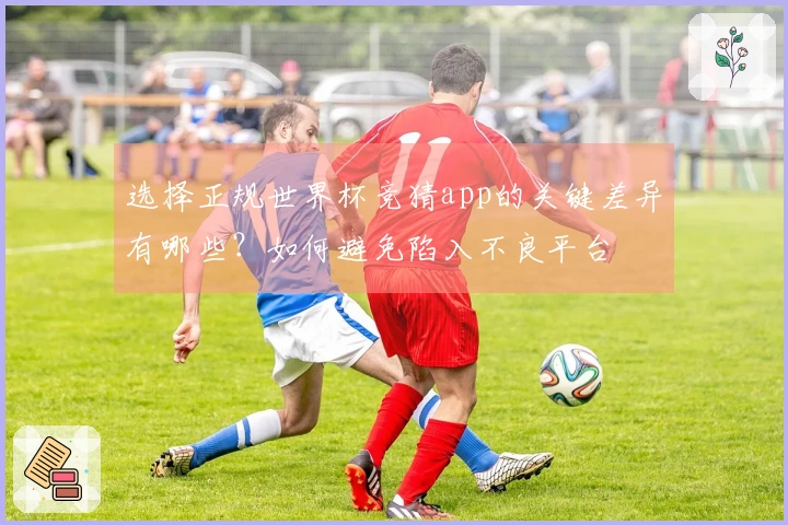 选择正规世界杯竞猜app的关键差异有哪些？如何避免陷入不良平台