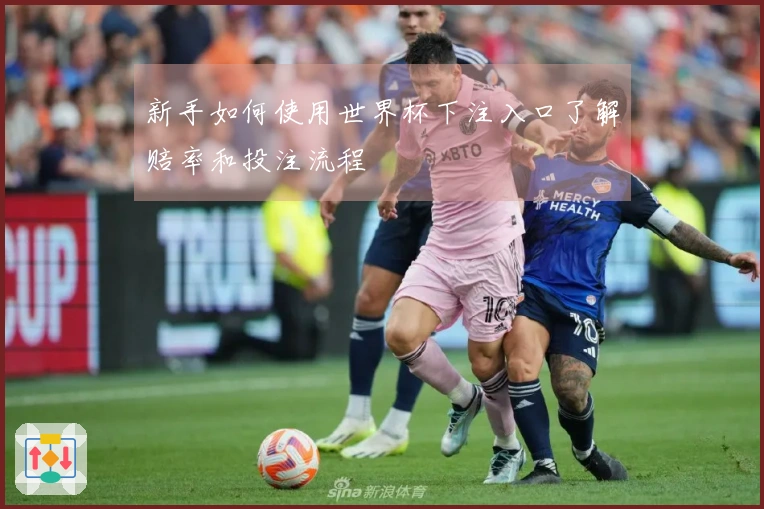 新手如何使用世界杯下注入口了解赔率和投注流程