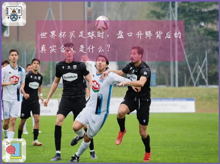 世界杯买足球时，盘口升降背后的真实含义是什么？