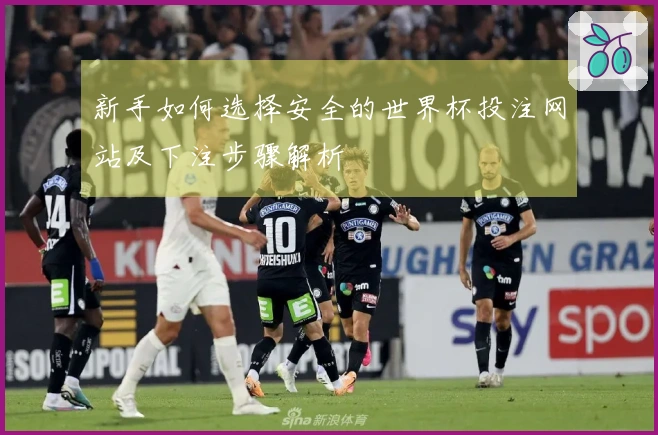 新手如何选择安全的世界杯投注网站及下注步骤解析